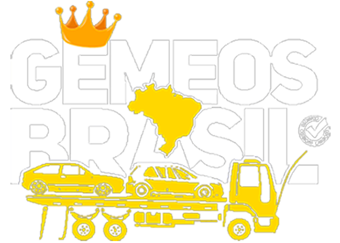 GEMEOS LTDA
